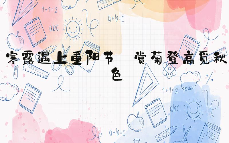 寒露遇上重阳节 赏菊登高觅秋色